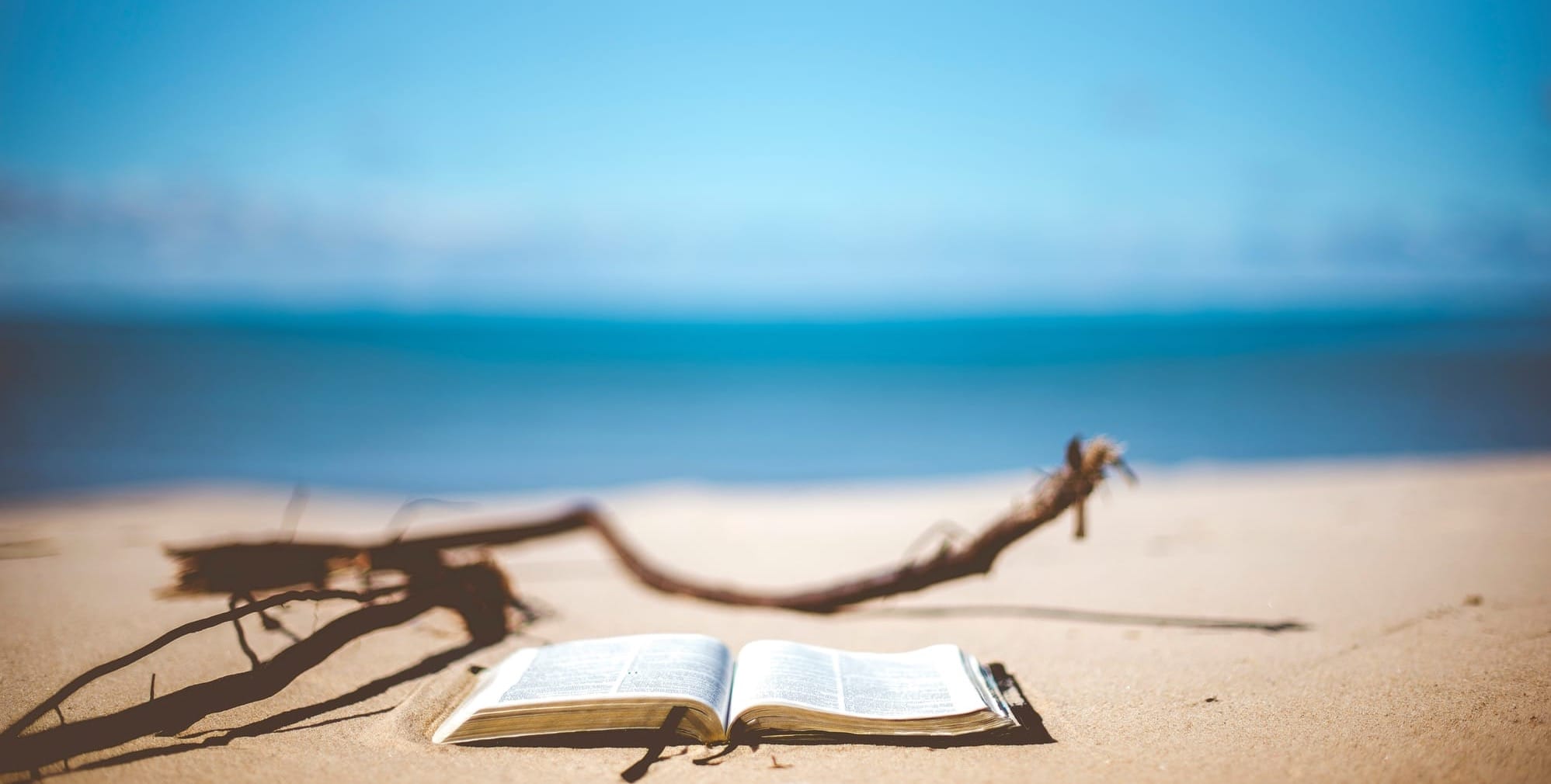 Books to Binge by the Beach: Top Holiday Reads